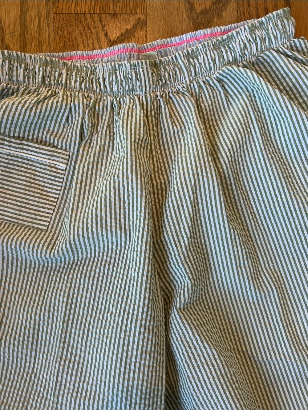 Free People striped Elastic-Waist Capri Pants — Light Blue & White - Picture 3 of 4